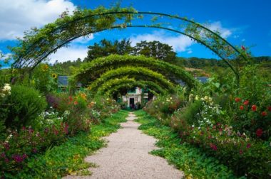 Tips voor het renoveren van jouw tuin